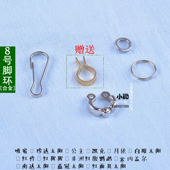 如今已是龙翔科技创业园掌舵人